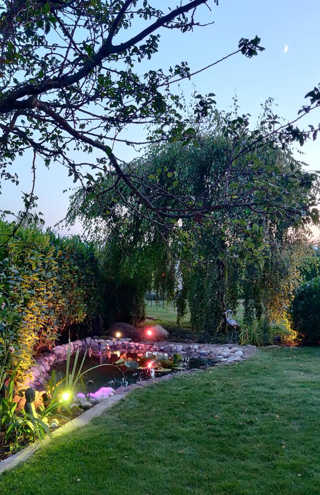 Hillside Homestay Near Luzern By Menbergs Harmony Homestay Hildisrieden Bagian luar foto